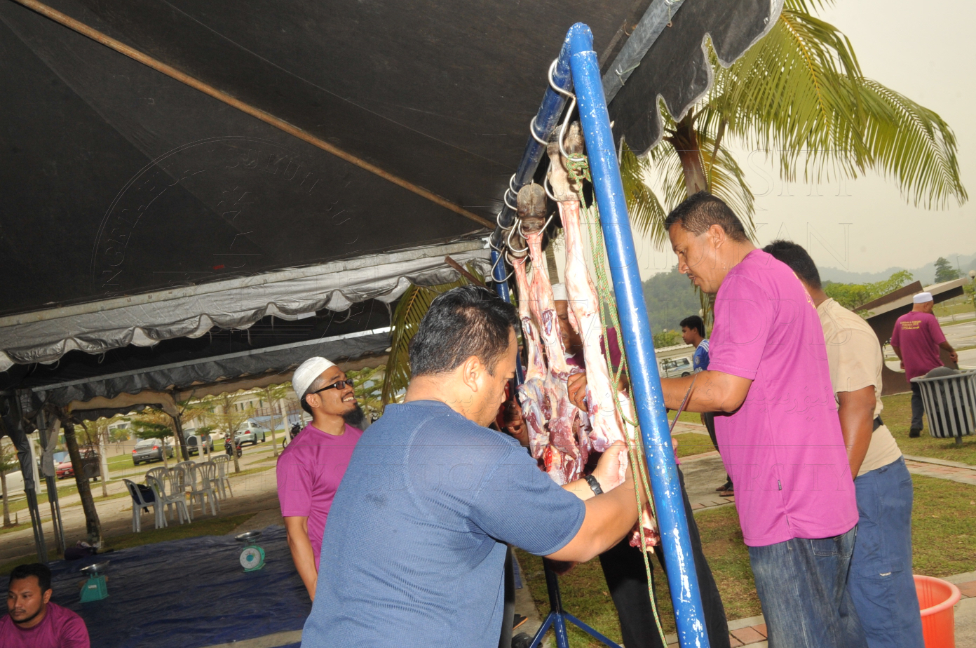 PRO15 150 KORBAN HAS 6896